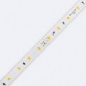 Bobine de bande LED dimmable 220V SMD2835 60LED/m 500 lm / m Blanc chaud