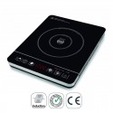 Plaque de cuisson à Induction Portable Professionnel 2000 W