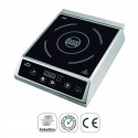 Plaque de cuisson à Induction Portable Professionnel 2700 W